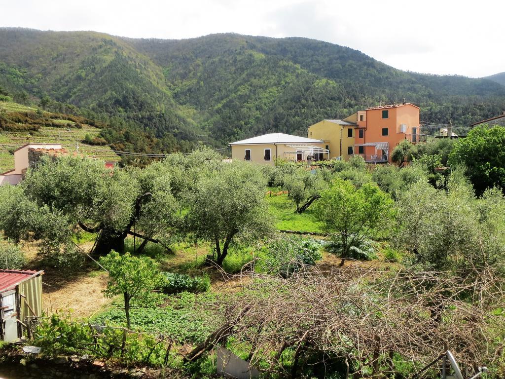 Creuza De 5 Terre Villa Volastra Exterior photo